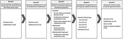 Fragile X-associated tremor ataxia syndrome rating scale: Revision and content validity using a mixed method approach